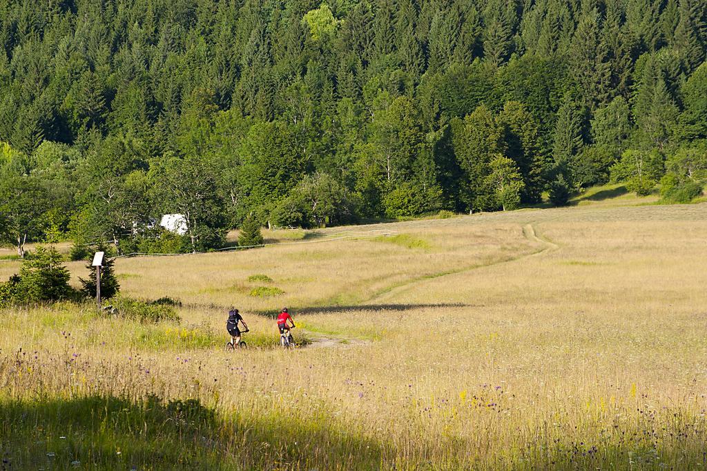 Hotel Bela Krajina Metlika Kültér fotó